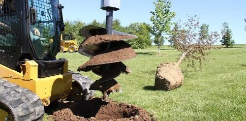 Solar Landscape Buffer Installation