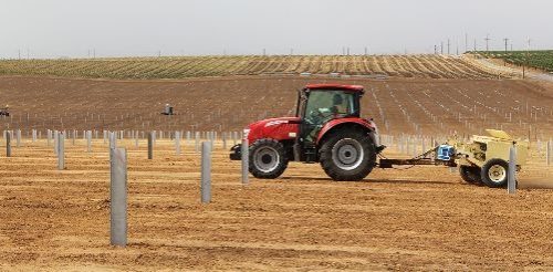 Solar Project Seeding